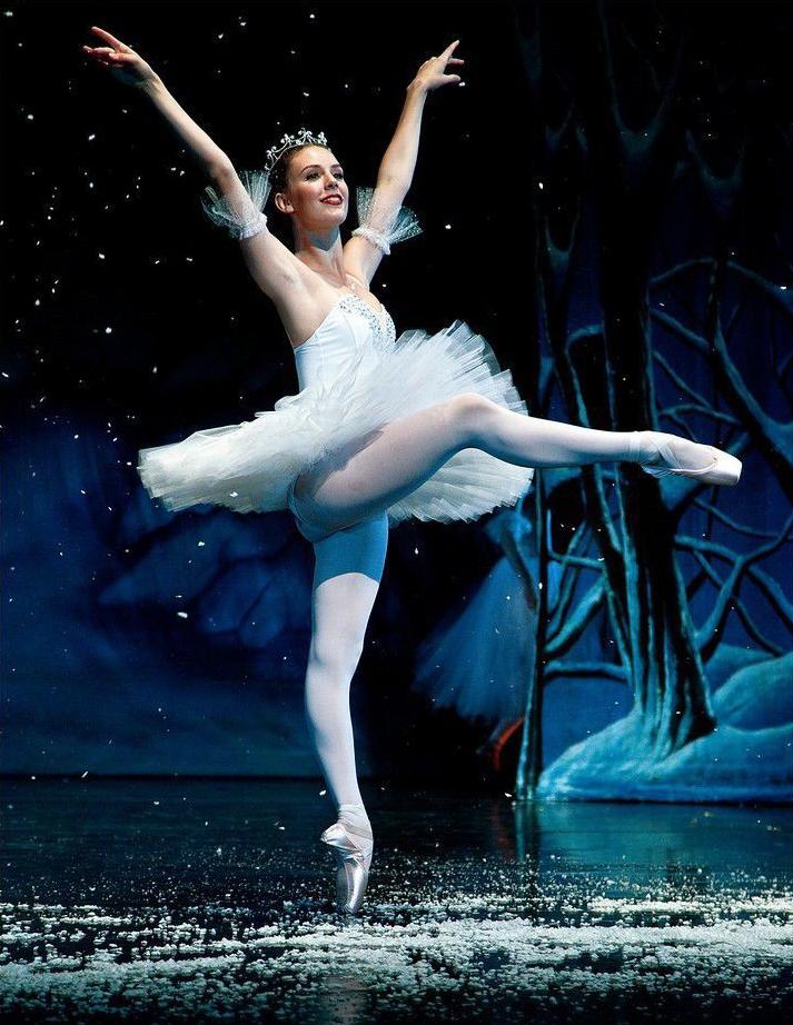 School of Classical Ballet fundraiser